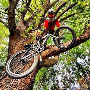 Meet your Posher, Jessy